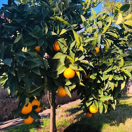 Valentino Panzió Giardini Naxos